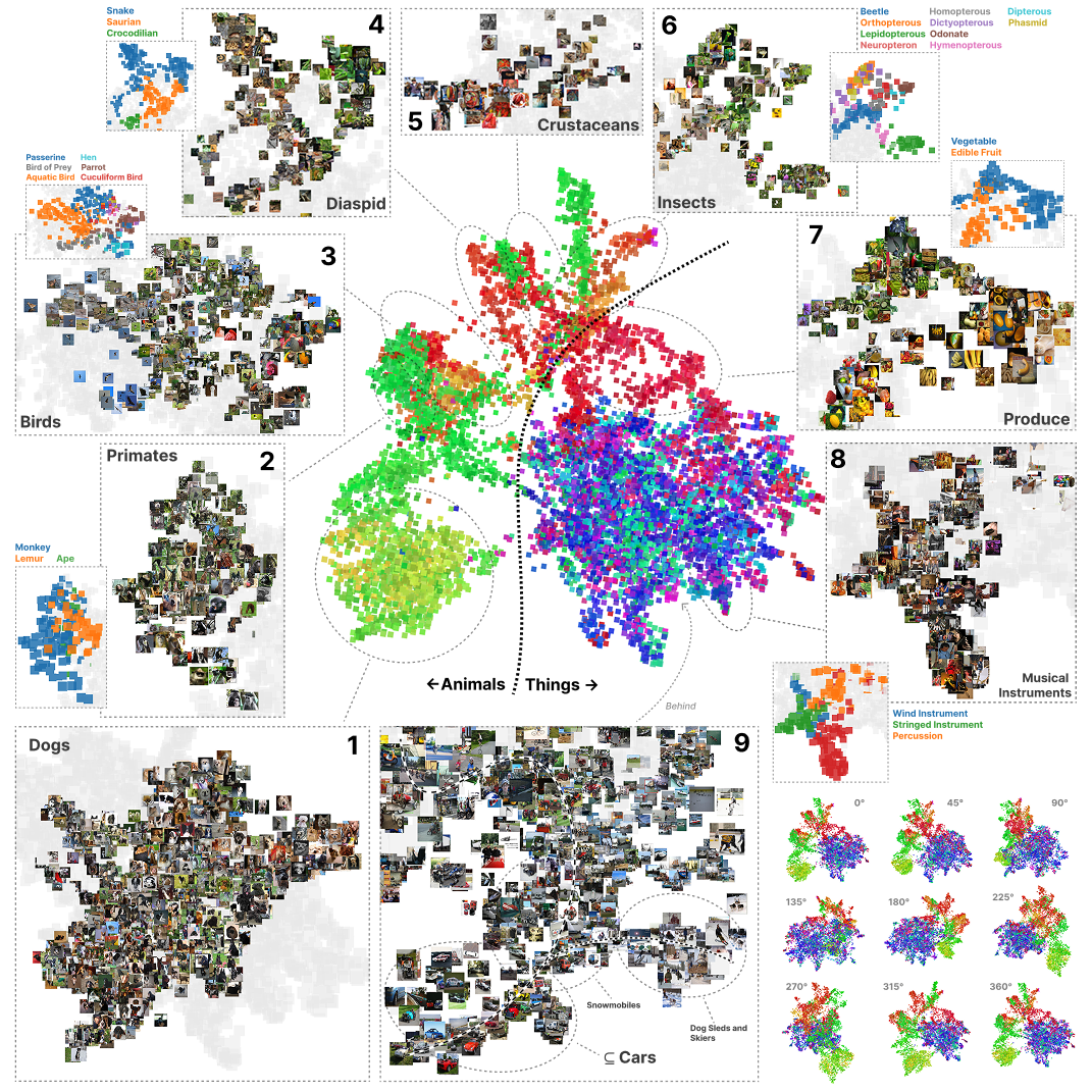 The Loss Kernel: A Geometric Probe for Deep Learning Interpretability cover